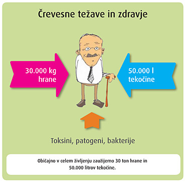 Prebava