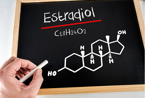 Estradiol je najpomembnejši estrogen v rodni dobi ženske