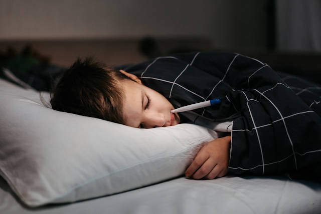 Virusna obolenja pri otrocih pogosto vodijo v bakterijske zaplete in posledično jemanje antibiotikov, ki otroka še dodatno izčrpajo. Z uživanjem zdravila iz ameriškega slamnika lahko vse troje uspešno obvladamo. 