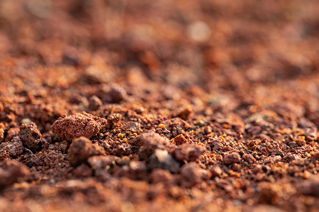 Zemlja se v svojih globinah sčasoma strdi in izoblikuje dragoceno kovino.